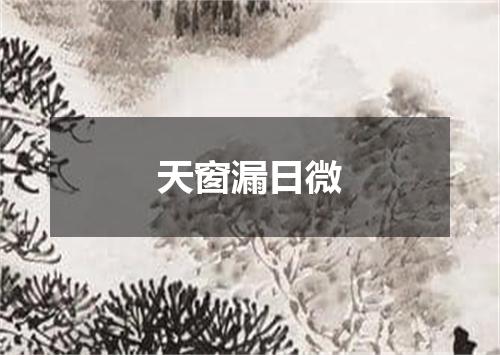 天窗漏日微