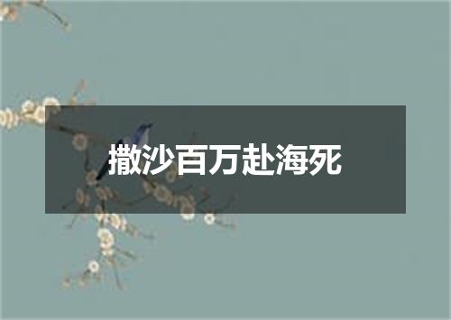 撒沙百万赴海死