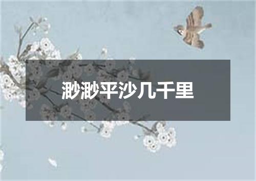 渺渺平沙几千里