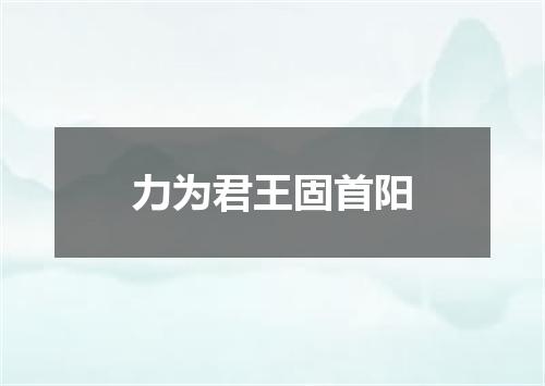 力为君王固首阳