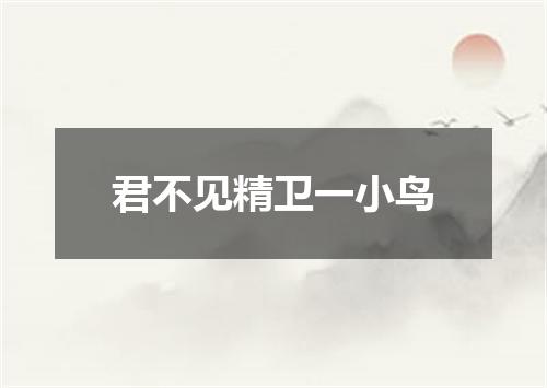 君不见精卫一小鸟
