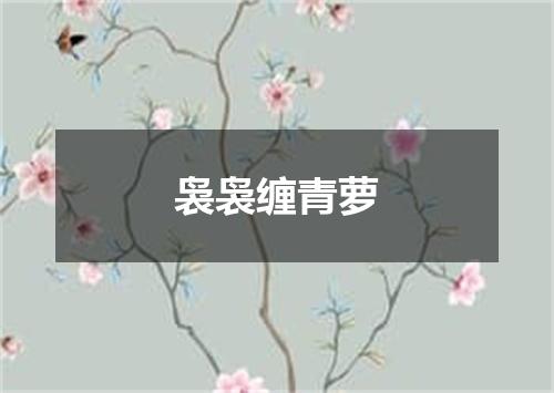 袅袅缠青萝
