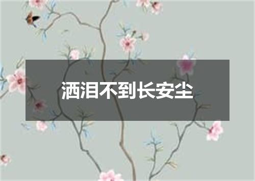 洒泪不到长安尘