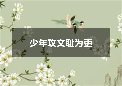 少年攻文耻为吏