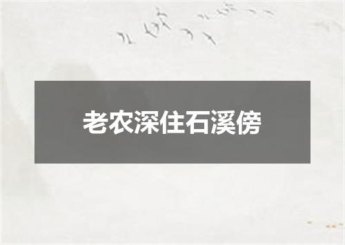 老农深住石溪傍