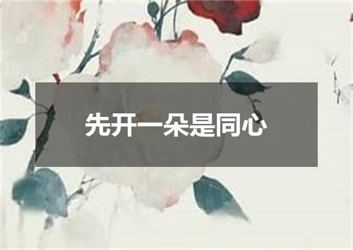 先开一朵是同心