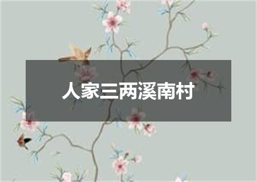 人家三两溪南村
