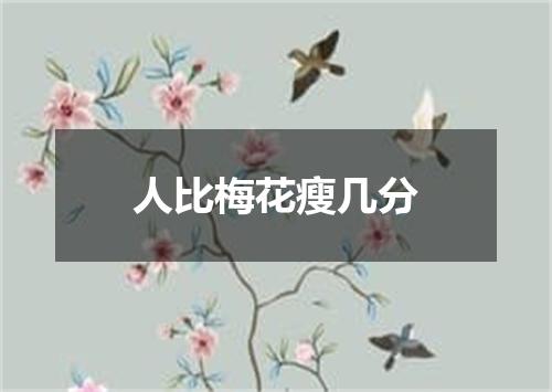 人比梅花瘦几分