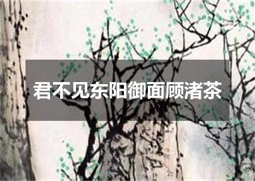 君不见东阳御面顾渚茶