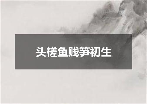 头槎鱼贱笋初生