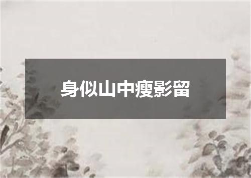 身似山中瘦影留