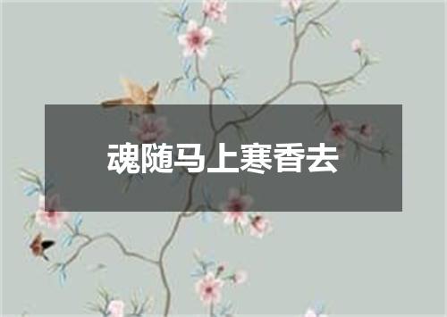 魂随马上寒香去