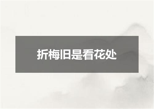 折梅旧是看花处
