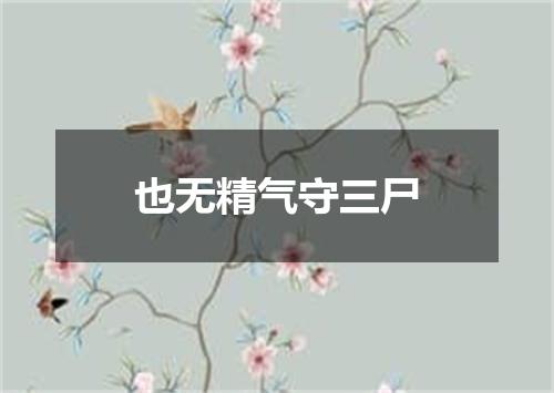 也无精气守三尸