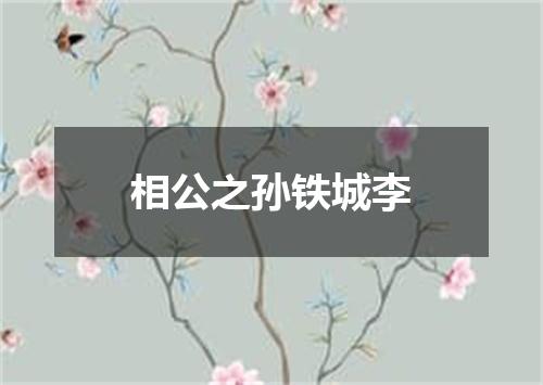 相公之孙铁城李