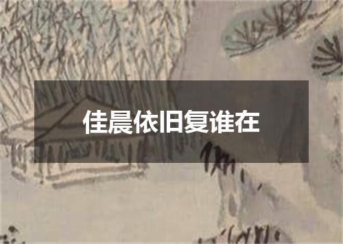 佳晨依旧复谁在