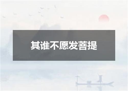 其谁不愿发菩提