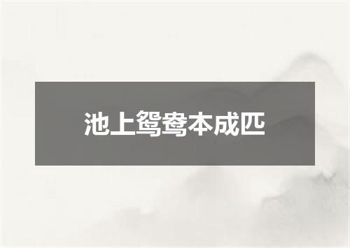 池上鸳鸯本成匹