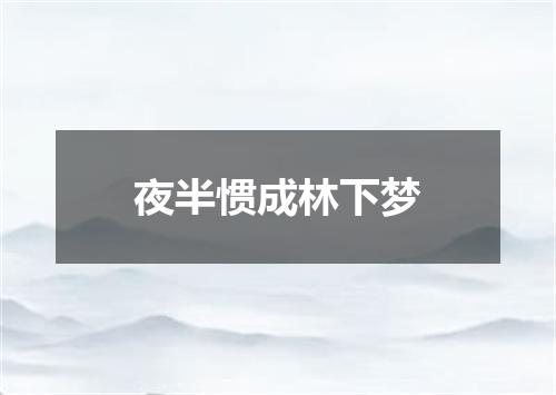 夜半惯成林下梦