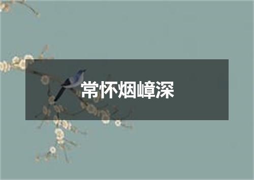 常怀烟嶂深