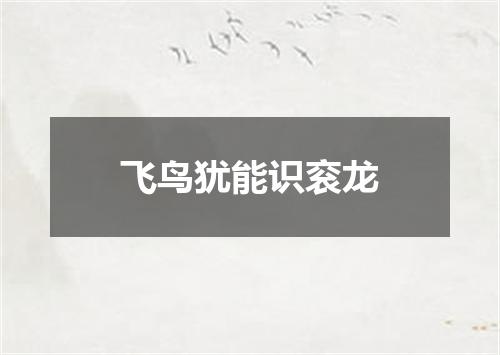 飞鸟犹能识衮龙
