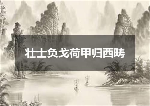 壮士负戈荷甲归西畴
