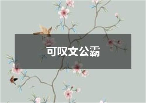 可叹文公霸