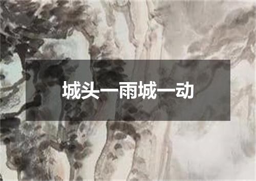 城头一雨城一动