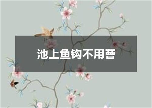 池上鱼钩不用罾