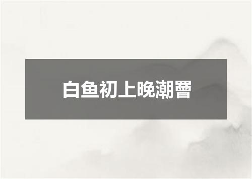 白鱼初上晚潮罾