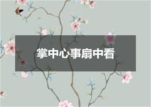 掌中心事扇中看