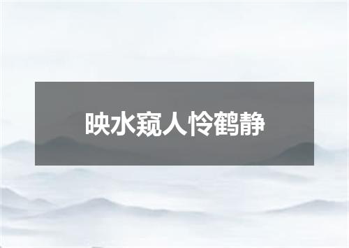 映水窥人怜鹤静