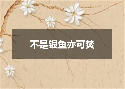 不是银鱼亦可焚