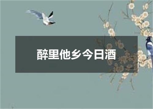 醉里他乡今日酒
