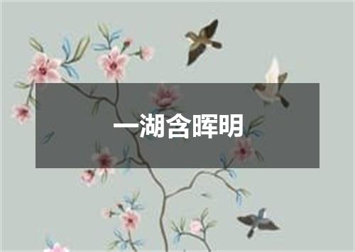 一湖含晖明