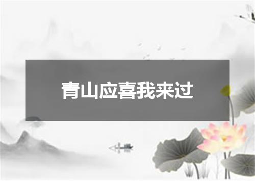 青山应喜我来过