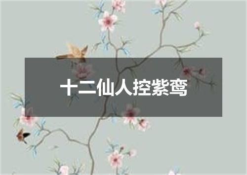 十二仙人控紫鸾