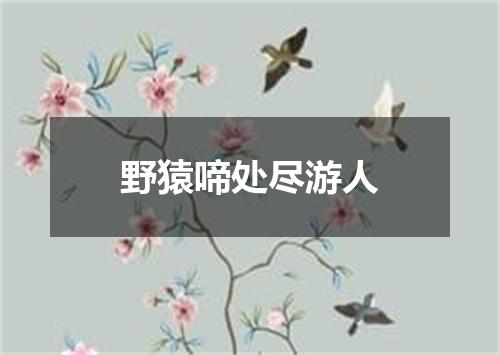 野猿啼处尽游人