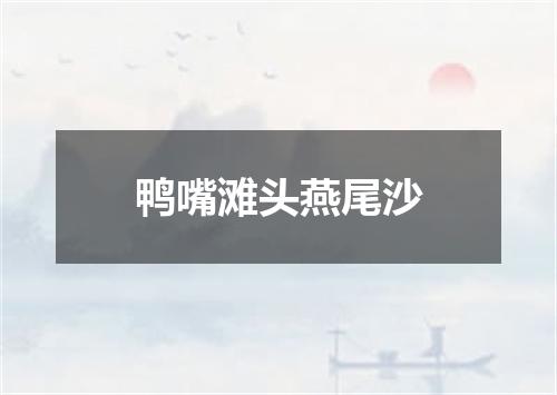 鸭嘴滩头燕尾沙