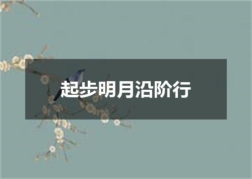 起步明月沿阶行