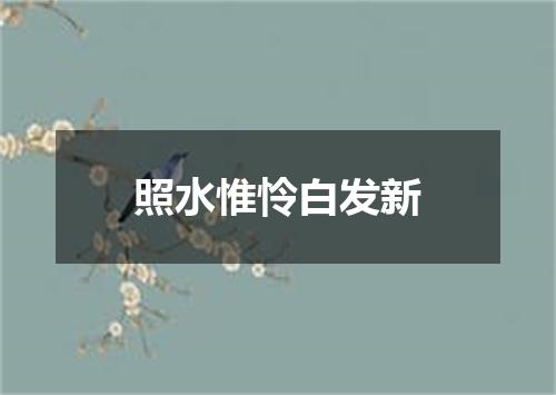 照水惟怜白发新