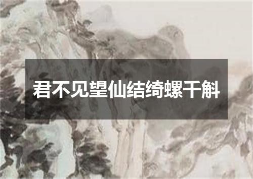 君不见望仙结绮螺千斛