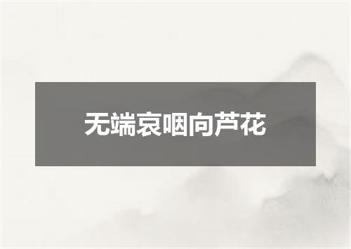 无端哀咽向芦花