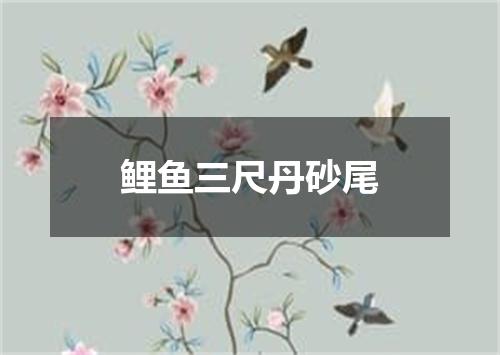 鲤鱼三尺丹砂尾