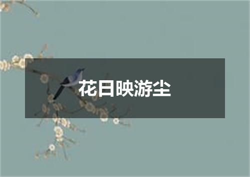 花日映游尘