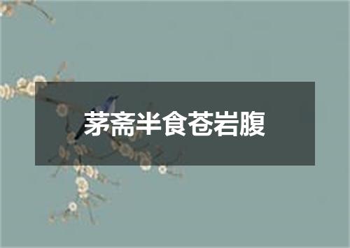 茅斋半食苍岩腹