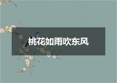 桃花如雨吹东风