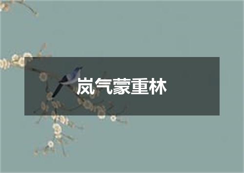岚气蒙重林