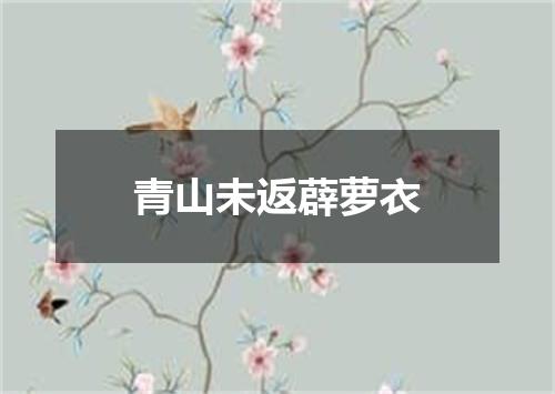 青山未返薜萝衣