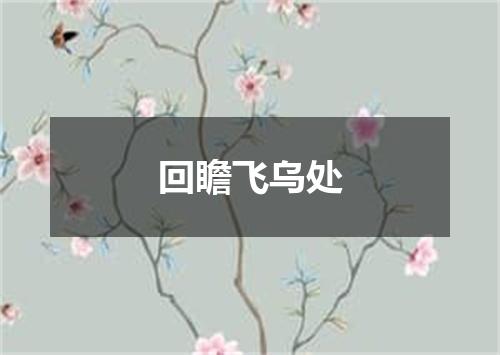 回瞻飞乌处